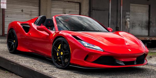 F8 Red Spider